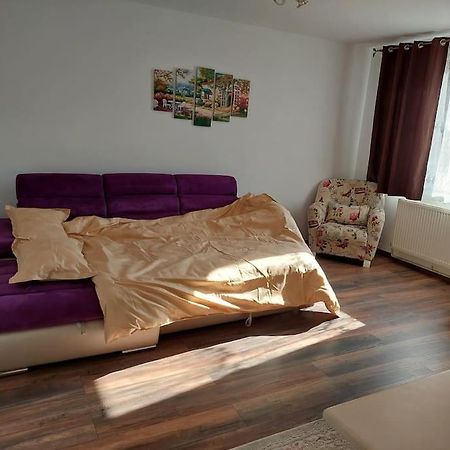Ferienwohnung Apartament In Sighetu Marmaţiei Exterior foto