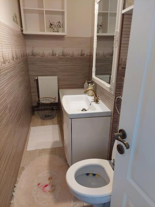 Ferienwohnung Apartament In Sighetu Marmaţiei Exterior foto