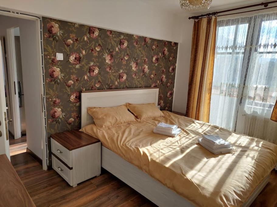 Ferienwohnung Apartament In Sighetu Marmaţiei Exterior foto