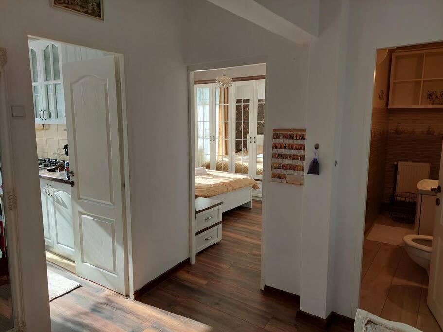 Ferienwohnung Apartament In Sighetu Marmaţiei Exterior foto