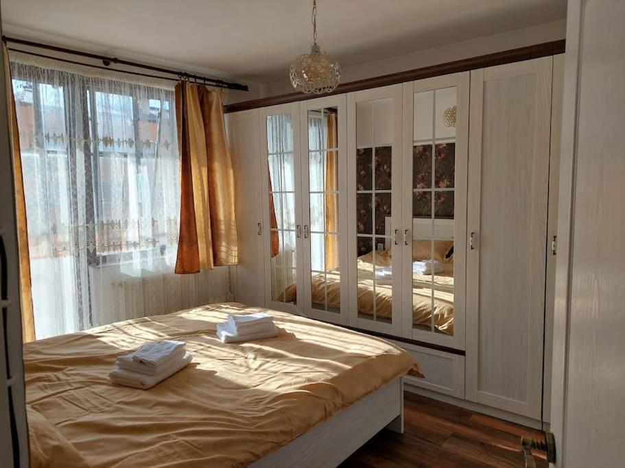 Ferienwohnung Apartament In Sighetu Marmaţiei Exterior foto
