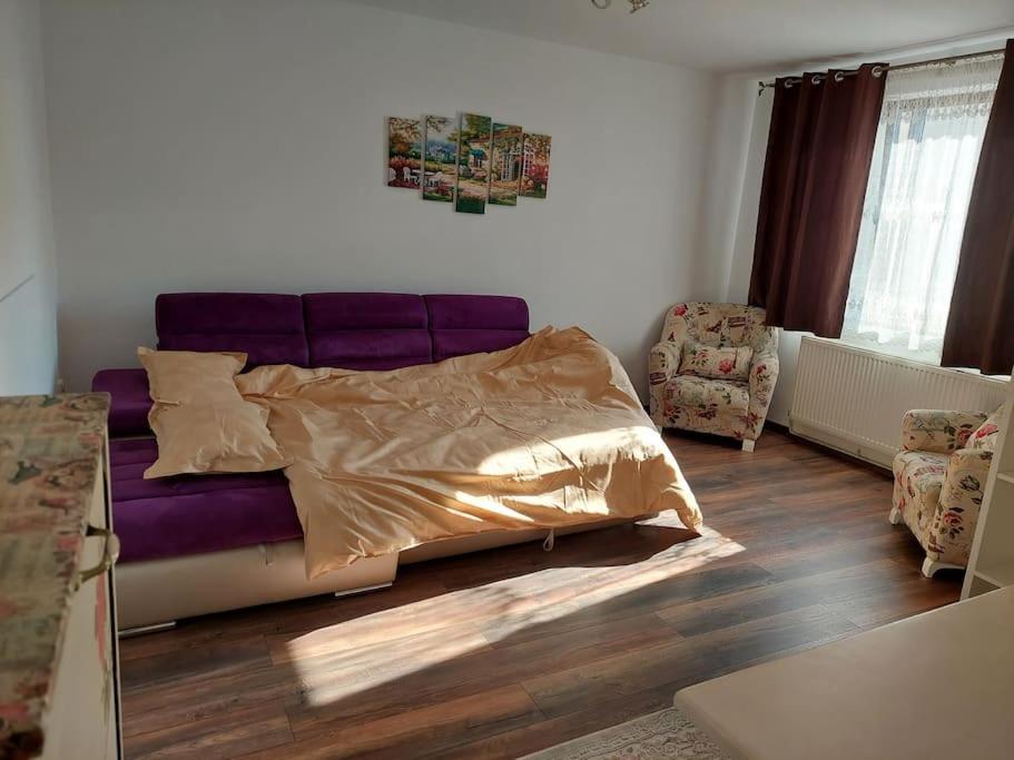 Ferienwohnung Apartament In Sighetu Marmaţiei Exterior foto